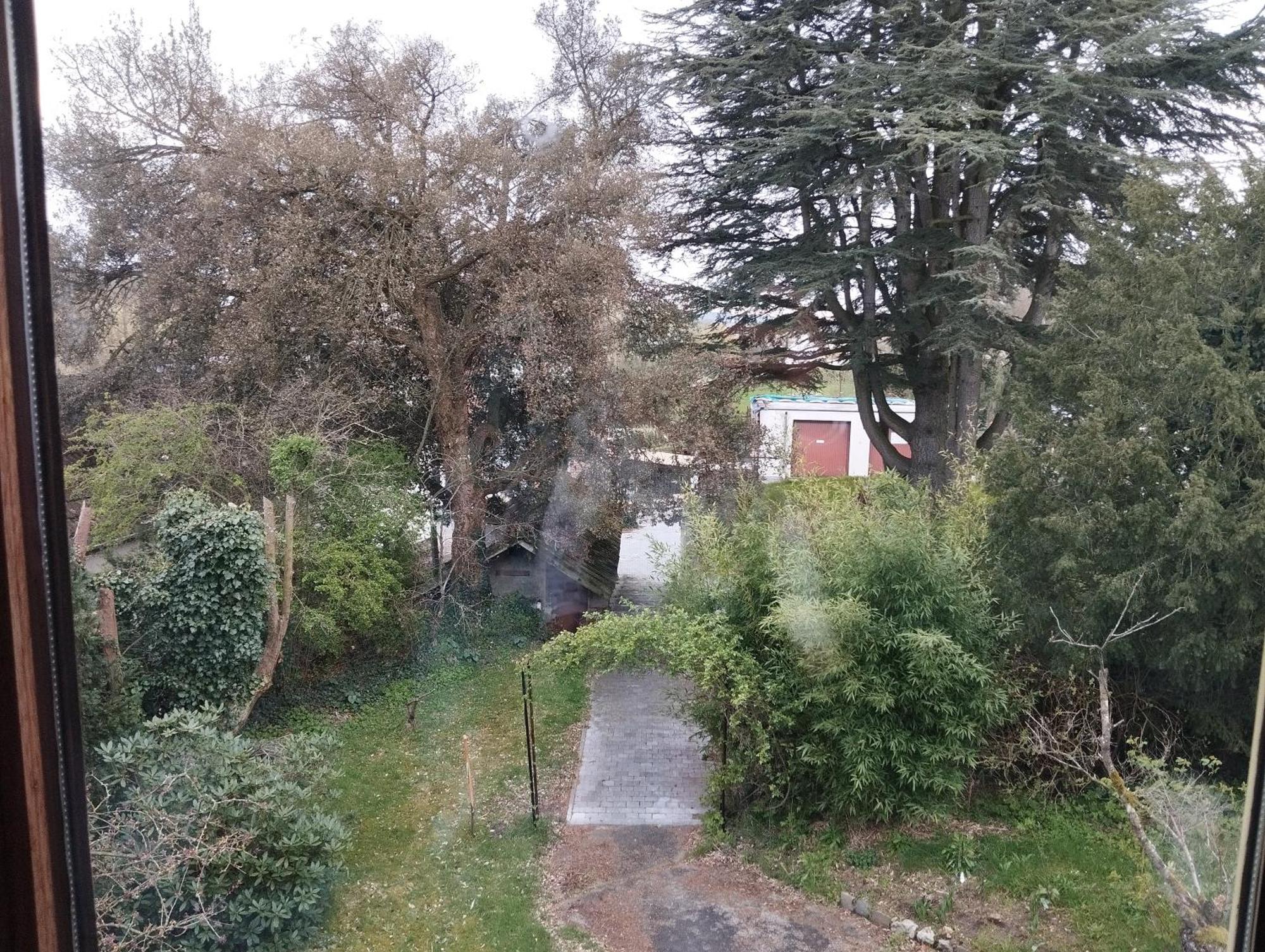 Charmante Villa Des Annees 30 Braine-lʼAlleud Dış mekan fotoğraf